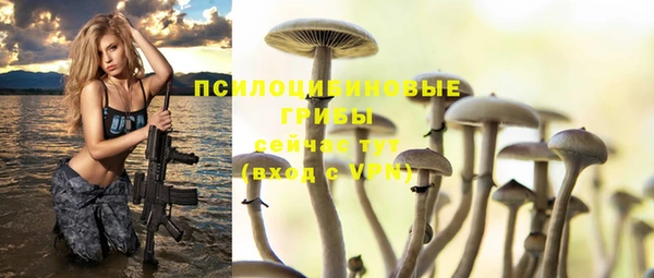 дживик Армянск