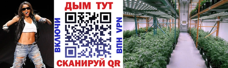 Купить где  Ростов  Бошки марихуана THC 21% 